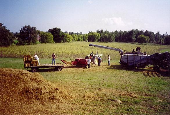 Threshing Baling Straw
